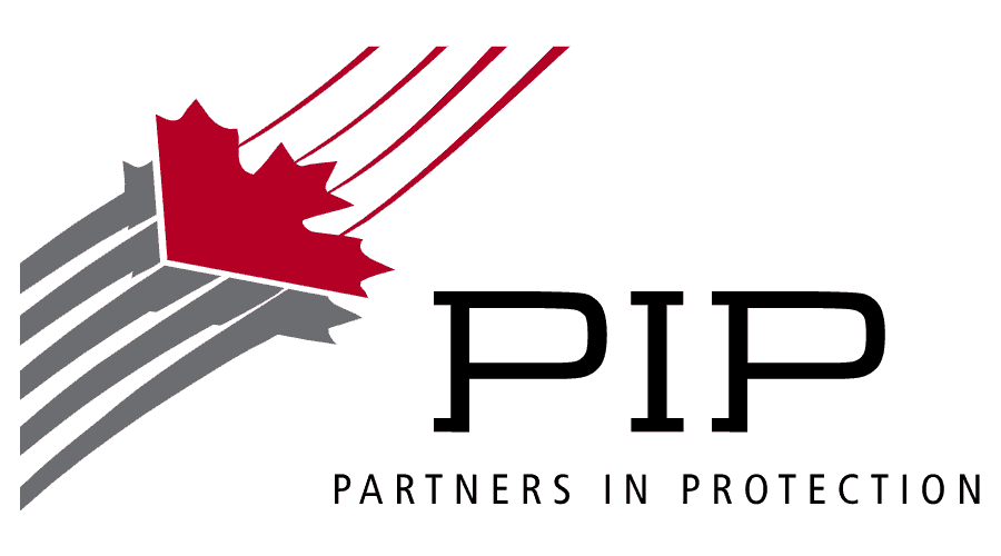 3. PIP LOGO